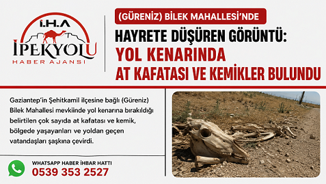 (GÜRENİZ) BİLEK MAHALLESİ’NDE HAYRETE DÜŞÜREN GÖRÜNTÜ: YOL KENARINDA AT KAFATASI VE KEMİKLER BULUNDU