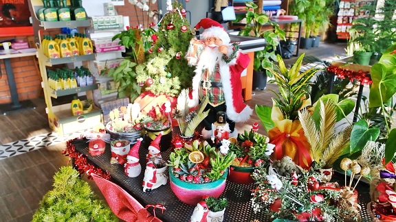 YENİ YILIN RENKLERİ ABB BİTKİ EVLERİNDE VATANDAŞLA BULUŞUYOR