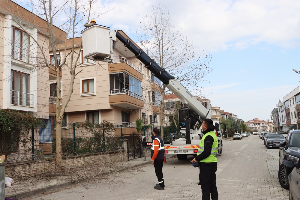 YALOVA DA BUDAMA ÇALIŞMALARI DEVAM EDİYOR