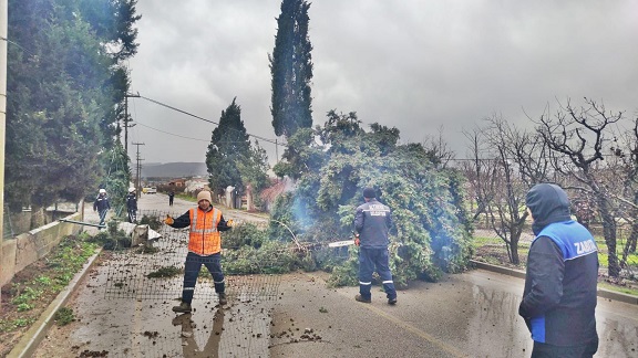 Altınova’da Fırtına Etkili Oldu: Uçan Çatılar, Devrilen Ağaçlara Anında Müdahale