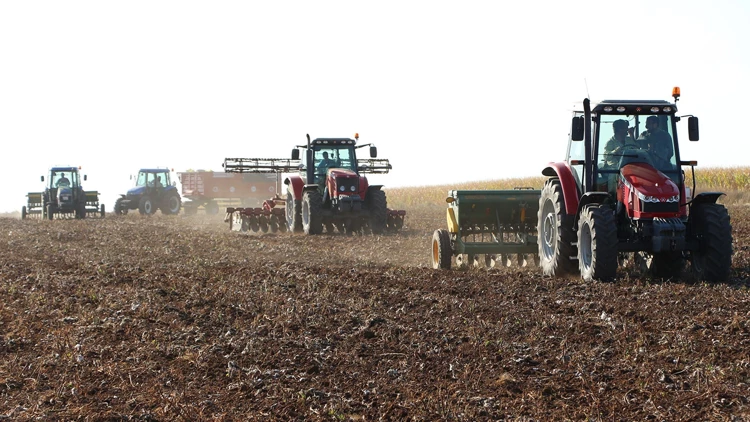 Mardin'de kar ve yağmur, çiftçiyi sevindirdi;