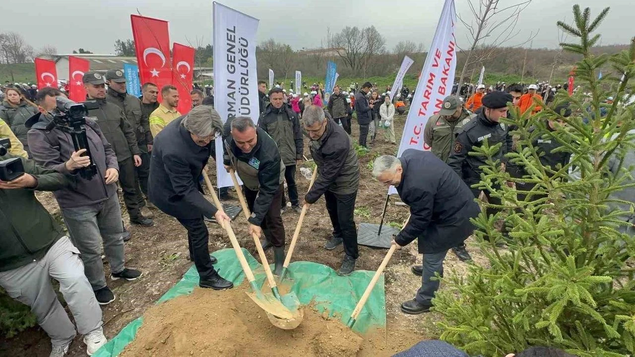 Yangınların ardından Bursa yeniden yeşeriyor: 2 milyon fidan toprakla buluştu