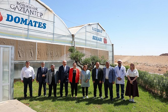 GAZİANTEP BÜYÜKŞEHİR ÇÖP DEPOLAMA SAHASINDA ORGANİK ÜRETİMLE YILDA 28 TON HASAT YAPIYOR
