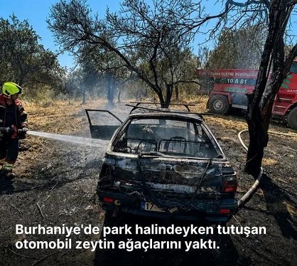 Burhaniye’de Zeytinlik Alanda Park Halindeki Otomobilde Yangın