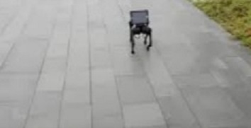  PENDİK’TE ROBOT KÖPEK JİDOKADOG’A BÜYÜK İLGİ
