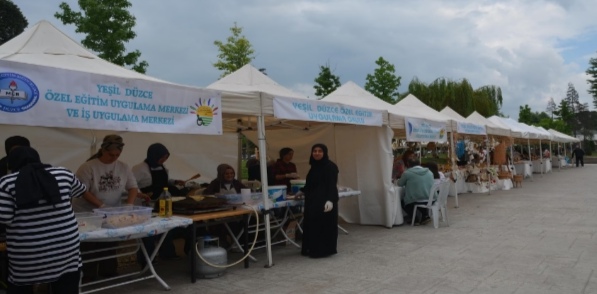   HER ŞEY DÜZCE İÇİN