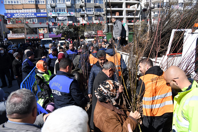 Isparta Belediyesi cuma günü 10.000 adet armut fidanını ücretsiz dağıtacak