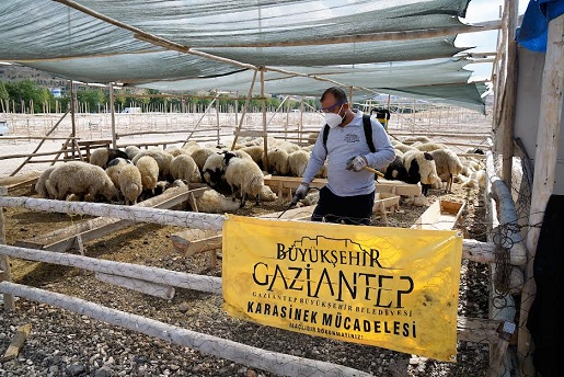 BÜYÜKŞEHİR’İN KURBAN BAYRAMI TEDBİRLERİ ARALIKSIZ DEVAM EDİYOR!