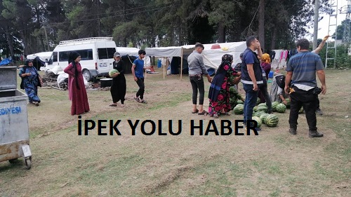 Tarladan aldı vatandaşa dağıttı