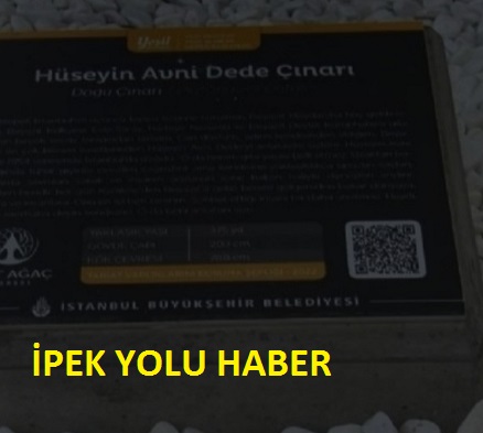 BEYAZIT’TA TARİHİ ÇINARA HÜSEYİN AVNİ DEDENİN İSİMİ VERİLDİ