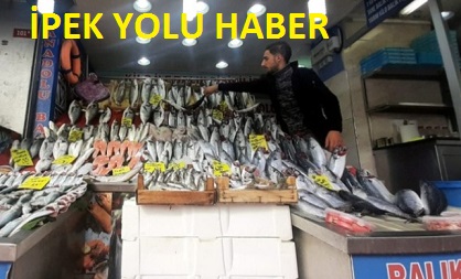 İSTANBUL’DA BALIK BOLLUĞU BALIKÇILARIN YÜZÜNÜ GÜLDÜRÜYOR 