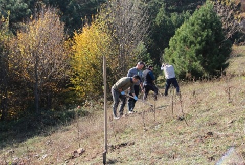 DÜZCE’DE YABANİ HAYVANLARIN BARINMASI İÇİN YİYECEK ÇALIŞMASI 