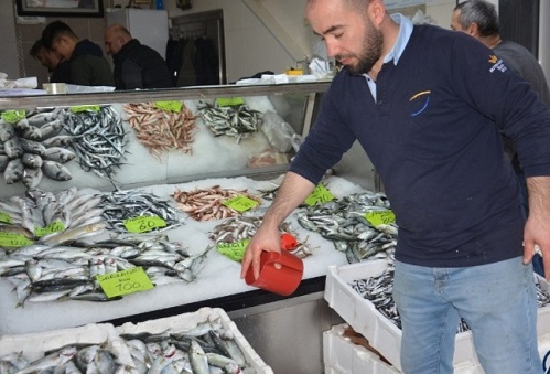  DÜZCE’DE HAMSİ BOLLUĞU
