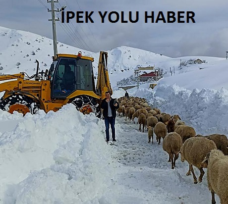 Yaylada mahsur kaldı belediye ekipleri kurtardı