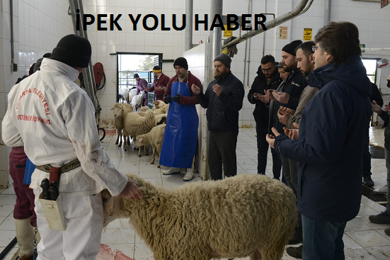 Vatandaşların bağışladığı hayvanların kesimi yapılarak, deprem bölgesine gönderildi