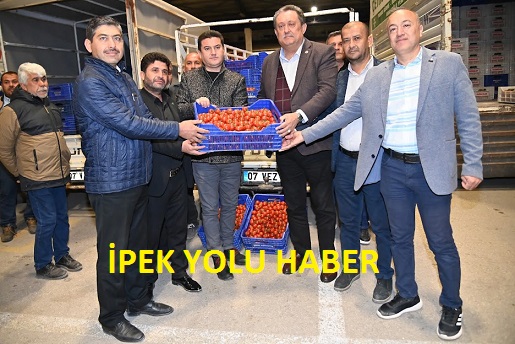 KUMLUCA’DAN DOMATES İHRACAT KISITLAMASI İLE İLGİLİ BASIN AÇIKLAMASI
