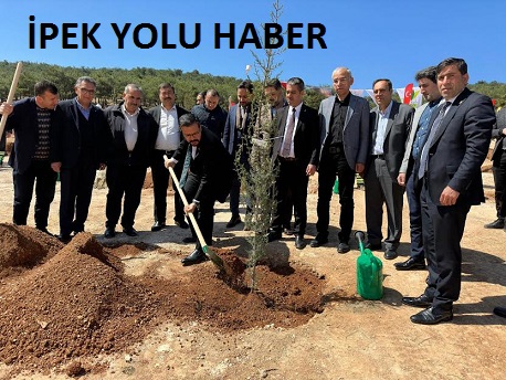 BAŞKAN YILMAZ, DEPREM ŞEHİTLERİ ANISINA FİDANLARI TOPRAKLA BULUŞTURDU   