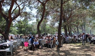 Antalya’da Van Rüzgarı: Kültür, Dayanışma ve Yeni Bir Başlangıç