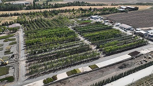 220 ileti dizisinden 1. ANKARA BÜYÜKŞEHİR BELEDİYESİ VE KAMU ARAŞTIRMALARI VAKFI “KIRSAL KALKINMA” İÇİN PROTOKOL İMZALADI