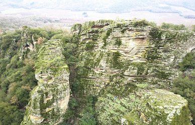 YALOVA ALTINOVA DA SOGUKSU DA CİNAYET İDDASI 
