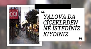ÇİÇEKLERDEN NE İSTEDİNİZ?