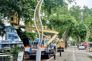YALOVA DA AĞAÇ BUDAMA ÇALIŞMALARI DEVAM EDİYOR