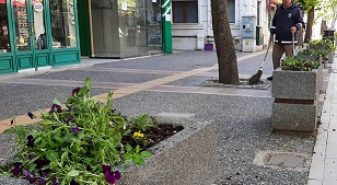 GAZİPAŞA CADDESİ’NDE ÇİÇEKLER SÖKÜLÜP YERE ATILDI