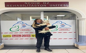 KEDİ VE KÖPEKLERİ SATIN ALMAYIN SAHİPLENİN