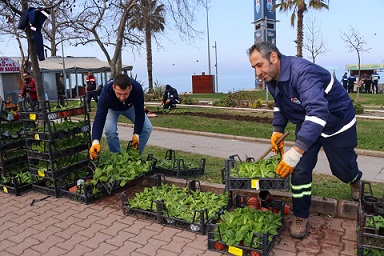 AKASYA PARKTA ÇİÇEK EKİMİ GERÇEKLEŞTİRİLDİ