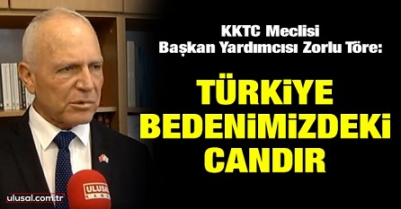 MECLİS BAŞKAN YARDIMCISI ZORLU TÖRE  DEN BASIN AÇIKLAMASI