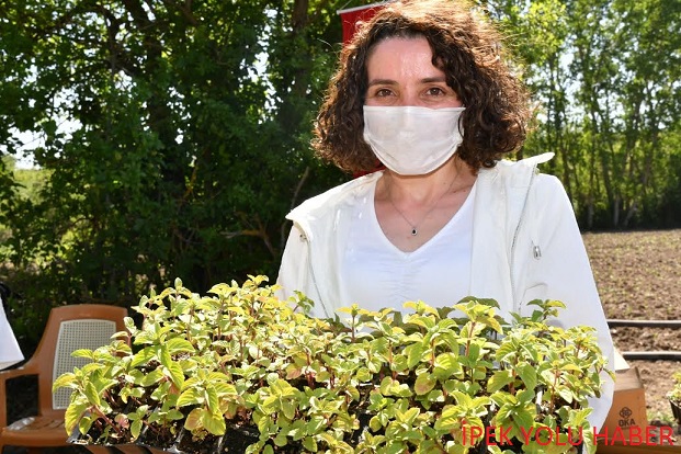 Tıbbi Aromatik Bitki Destekleri ile Büyükşehir Yeni Bir Dönemi Başlattı