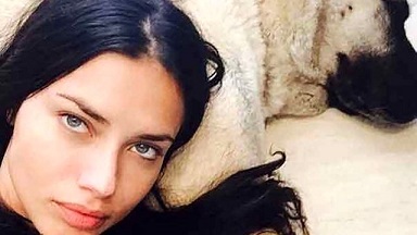 Türkiye’ye olan sempatisiyle bilinen dünyaca ünlü model Adriana Lima, ABD Los Angeles’taki evi için Sivas Kangalı aldı