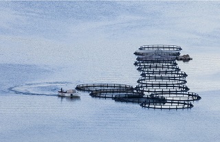 KAPIKAYAFEST FOTO SAFARİ YARIŞMASI’ NA SAMSUNLU SANATÇILARDAN 17 ÖDÜL !