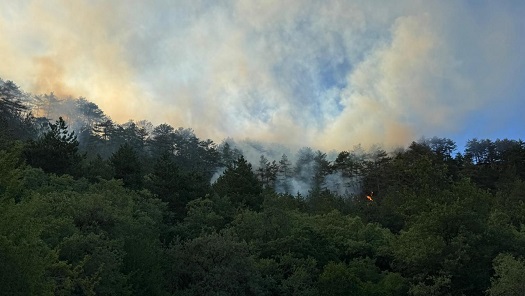 Bolu&rsquo;nun Göynük ilçesindeki orman yangını söndürüldü
