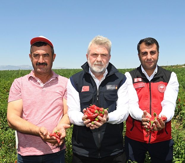 Başkan Görgel: “Maraş Biberi Hasadının Bereketli Olmasını Diliyorum”