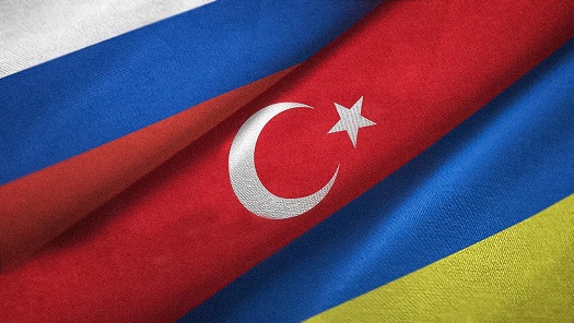 Türkiye’de Barış Görüşmesi Umudu: Zelenski’den Putin’e Çağrı