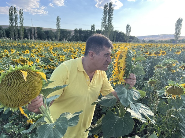 Türkücü Aydın Aydın, fazla ücret talep eden mankenlere tepki göstererek klibinde ayçiçekleri oynattı