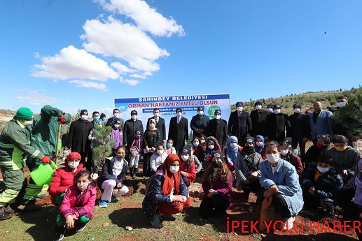 DAHA YEŞİL BİR ŞAHİNBEY İÇİN FİDAN DİKİMİNE DEVAM