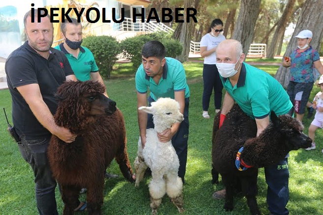GAZİANTEP HAYVANAT BAHÇESİ YENİ MİSAFİRLERİNİ AĞIRLAMAYA BAŞLADI