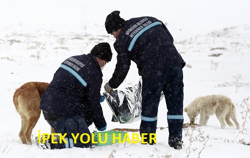 BÜYÜKŞEHİR YABAN VE DOĞAL HAYATI KORUYOR