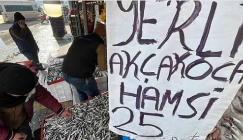 DÜZCE’DE HAMSİ BOLLUĞU