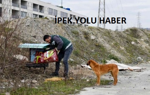 ESENYURT’TA SOKAK HAYVANLARI UNUTULMUYOR