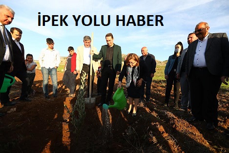 BÜYÜKŞEHİR, NURDAĞI’NDA ZEYTİN FİDANLARINI TOPRAKLA BULUŞTURDU