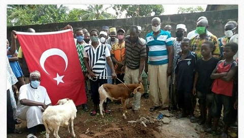 AFRİKA ÜLKESİ TOGO, DA KURBAN KESEREK AYASOFYA, NIN AÇILIŞINI KUTLADI.