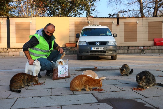 2 GÜNDE 375 KİLO MAMA ODAK NOKTALARA BIRAKILDI