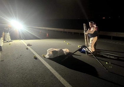 Gaziantep’te kara yolu kenarında bir kadın silahla öldürüldü