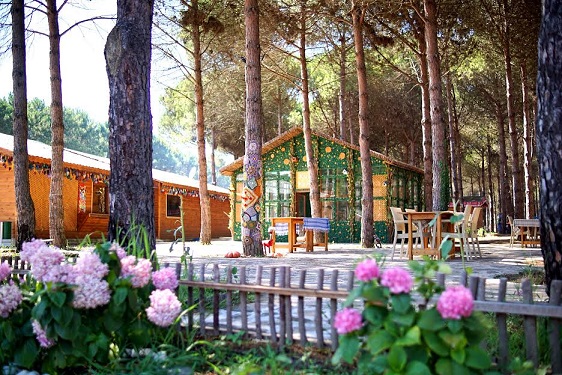 TABİAT HARİKASI “ÇARŞAMBA ORMAN PARK”