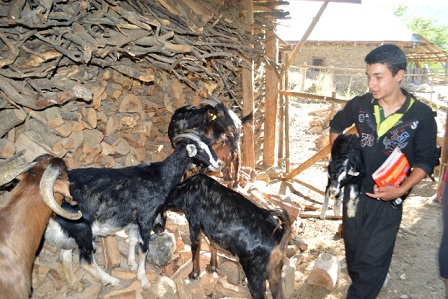 İpek Yolu Haber Ajansı