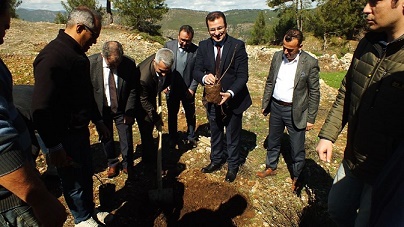 DALAMAN’DA İNCİR FİDANI DİKİMİ TÖRENİ YAPILDI