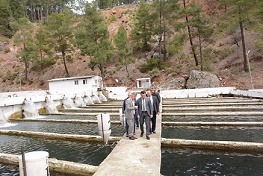KAYMAKAM OKATAN İŞLETMELERDE İNCELEMELERDE BULUNDU